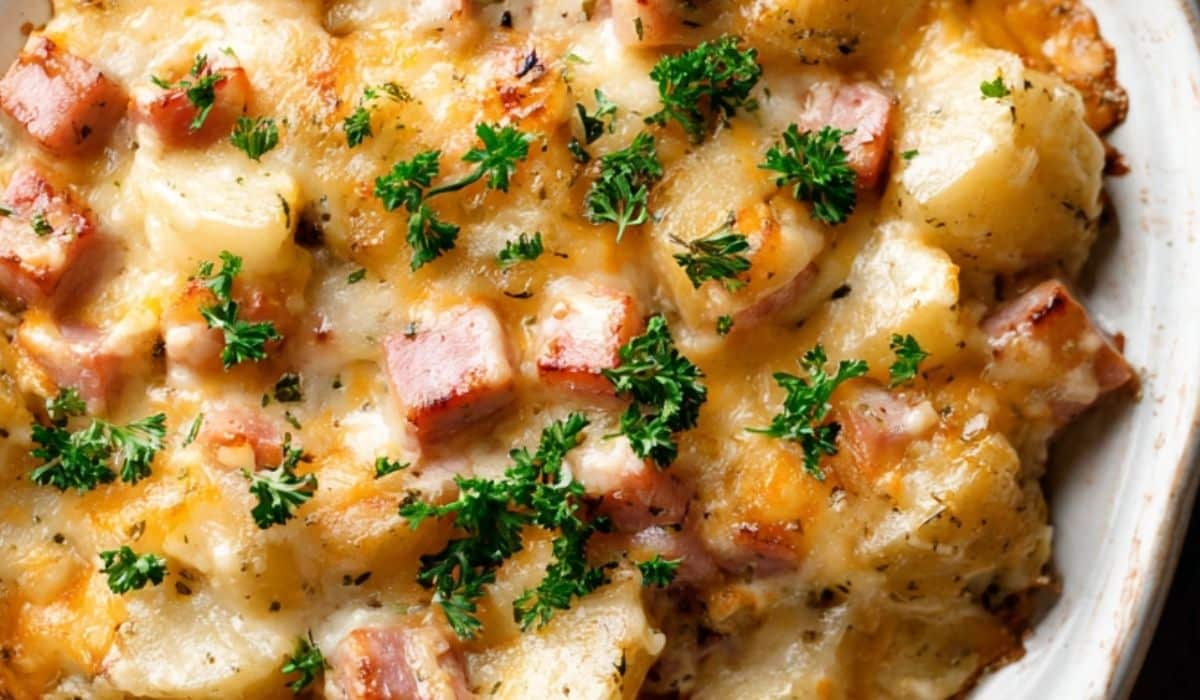 Ham & Potato Casserole freshly baked with golden cheese